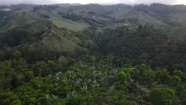 Långsam Snurrande Drönare Skott Jordbruksmark Costa Rica — Stockvideo