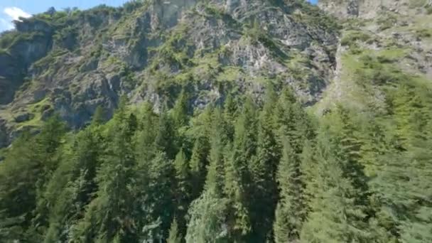 Fpv Fliegt Über Waldbäume Steilen Klippen Brandnertal Österreich — Stockvideo