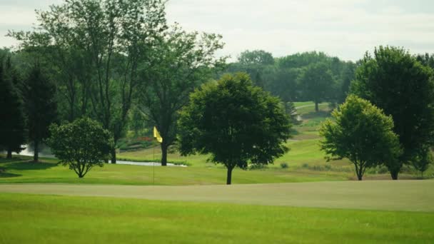 Yellow Golf Flag Waving Wind Golf Course Surrounded Trees — Stock Video