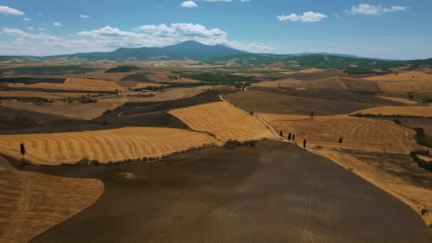 Val Orcia Daki Hava Aracı Ünlü Doğa Vadisi Ortaçağ Tuscany — Stok video
