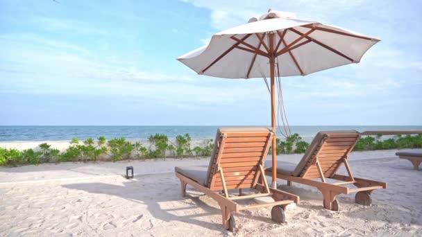 Lege Zonnebedden Onder Parasol Caribisch Strand Vakantie Tropisch Paradijs — Stockvideo