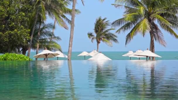Tropical Resort Scenery Infinity Pool Parasols Front Caribbean Sea — Stock Video
