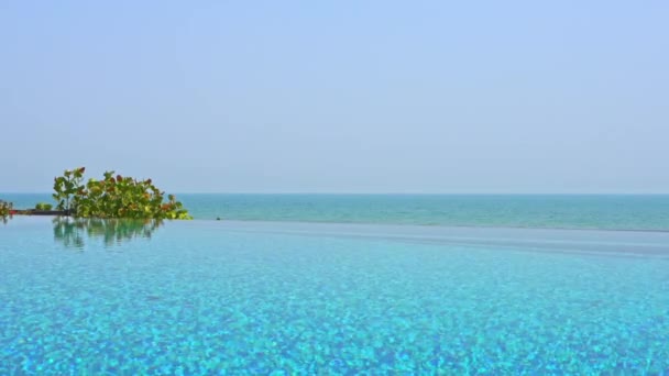 Luxury Infinity Pool Tropical Resort Caribbean Sea Horizon — Stock Video