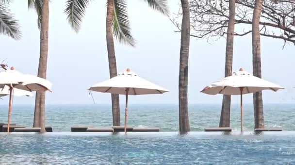 Resort Tropical Luxe Bassin Vide Parasols Cocotiers Sea Horizon — Video