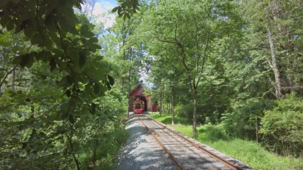 Restored Antique Steam Engine Approaching Riding Single Track Woods Sunny — Stock Video