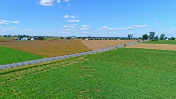 Eine Luftaufnahme Einer Landstraße Mit Einer Amish Familie Die Fuß — Stockvideo