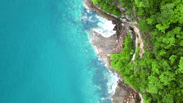 Bovenop Drone Uitzicht Een Strand Met Een Bos Met Groene — Stockvideo