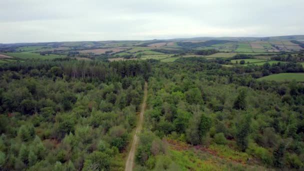Drone Flying Devon Forest Farm Fields Empty Track Road — Stok Video