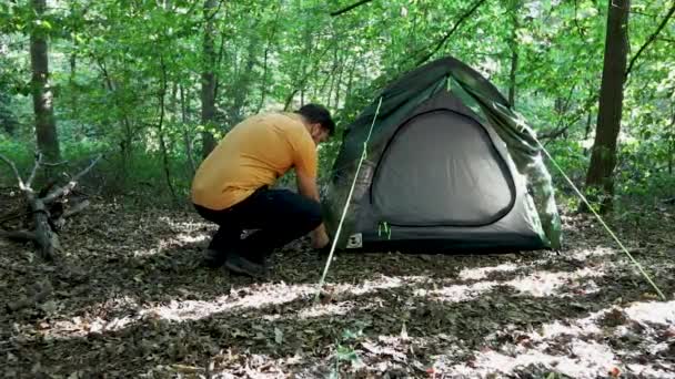 Persona Che Regola Tenda Mentre Campeggio Foresta Zona Vista Posteriore — Video Stock