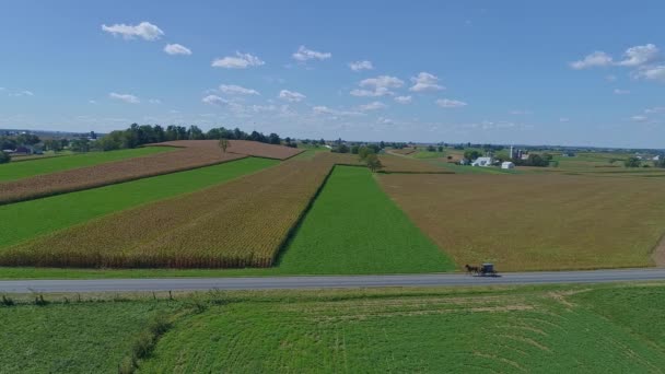 Egy Légi Kilátás Gazdaságok Silos Mezőgazdasági Területek Hogy Hamarosan Betakarítják — Stock videók