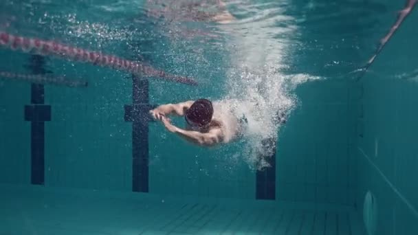 Slow Motion Swift Underwater Power Wall Swift Freestyle — стоковое видео