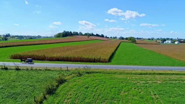 Çiftliklerin Siloların Tarım Arazilerinin Havadan Görünüşü Yakında Amish Atı Seyyar — Stok video