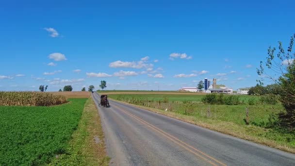 在一个美丽的阳光灿烂的日子里 一辆爱美的马和一辆童车沿着乡间小路经过农场 缓缓前行 — 图库视频影像