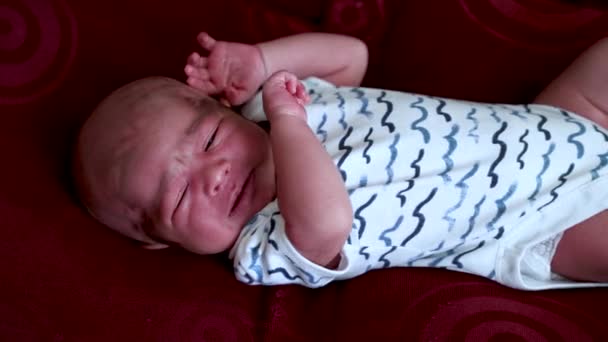 Индийский Новорожденный Мальчик Выглядит Беспомощным Плачет Костюме Лаида Кровати — стоковое видео