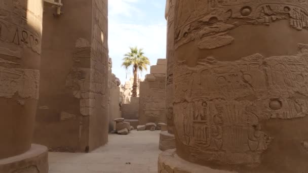 Symboles Anciens Hiéroglyphes Sur Les Piliers Célèbre Musée Plein Air — Video