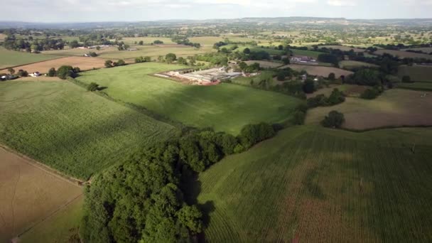 イギリスデヴォン州の農場 トウモロコシの収穫物のドローン撮影 — ストック動画