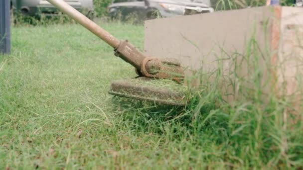 Närbild Borstsax Med String Trimmer Head Klippa Gräset Trädgårdskoncept Med — Stockvideo