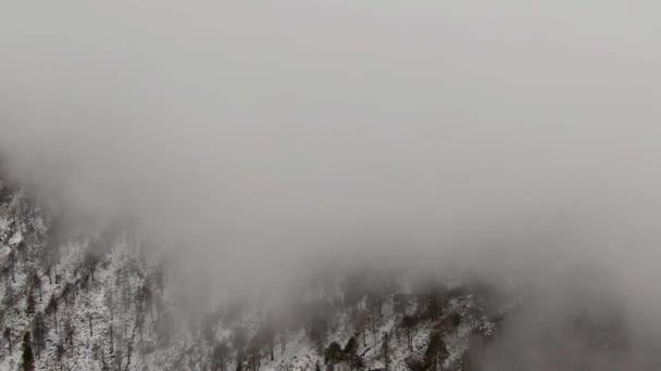 Foggy Clouds Canopy Snow Forest Mountains Nevado Colima National Park — Stock video