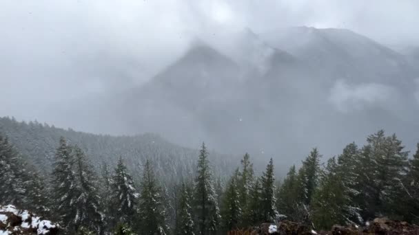 Floresta Neve Paisagem Montanha Inverno Com Floresta Pinheiros Abaixo — Vídeo de Stock