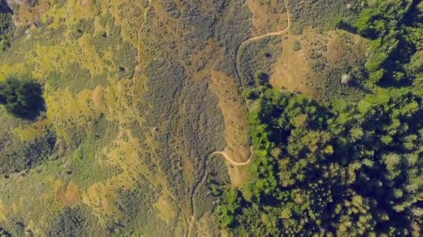 Boven Bovengronds Uitzicht Het Bos Bedekt Tamalpais Berg Californië Gebouwd — Stockvideo