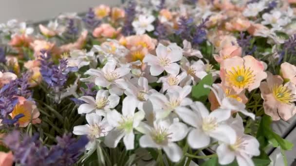 Fotografie Aproape Flori Frumoase Albe Galbene Care Pot Folosite Pentru — Videoclip de stoc
