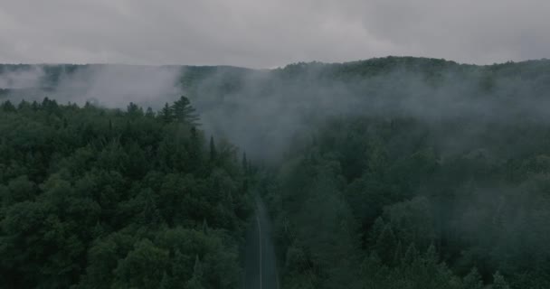 Κηφήνας Που Πετά Μέσα Από Ένα Όμορφο Ομιχλώδες Ορεινό Τοπίο — Αρχείο Βίντεο