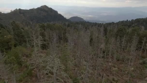 在墨西哥哈利斯科州内瓦多 德科利马国家公园 带着多雾的天空飞越高山和高山 空降飞行员中枪 — 图库视频影像