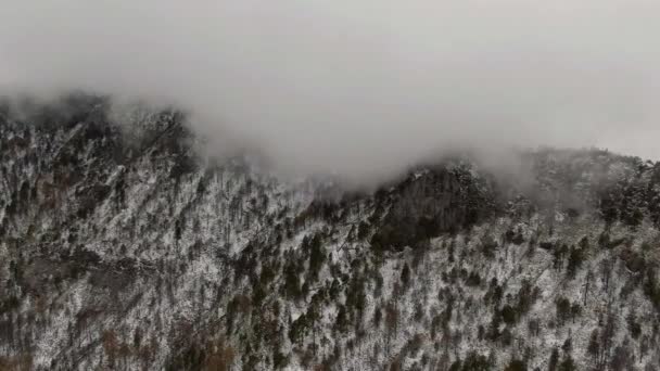 Zataženo Obloha Nad Lesní Hory Pokryté Sněhem Nevado Colima Národního — Stock video