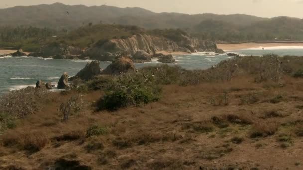 Stormo Uccelli Marini Che Volano Sull Isola Rocciosa Vicino Faro — Video Stock