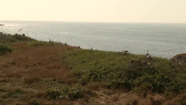 Vista Panoramica Dell Oceano Pacifico Settentrionale Isola Faro Bucerias Michoacan — Video Stock