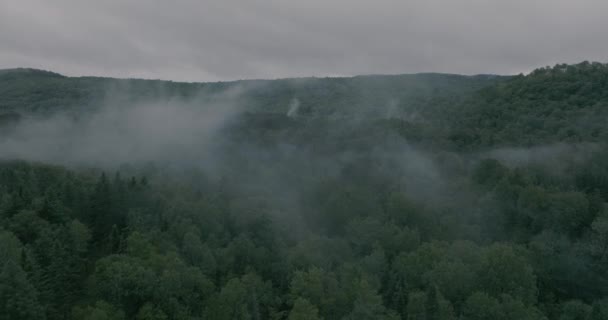 Drönare Flyger Genom Vacker Dimmig Bergstopp Landskap Dra Avslöja — Stockvideo