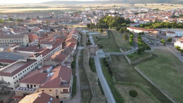 Drone Aereo Dritto Che Sorvola Muro Fortificazione Medievale Con Cancello — Video Stock