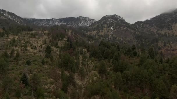 Parque Nacional Nevado Colima Com Pinheiros Montanhas Vulcânicas Oeste México — Vídeo de Stock