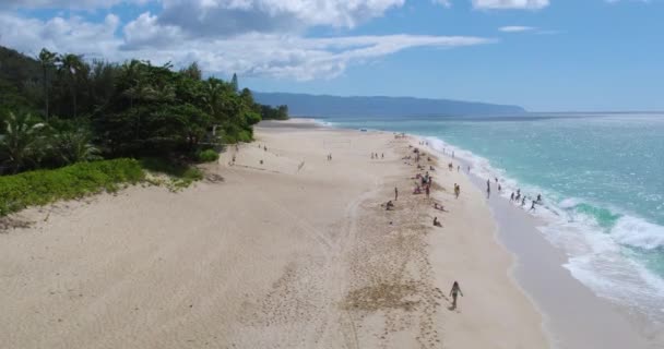 Tatil Banyosu Yapan Turistler Hawaii Deki Kuzey Sahili Oahu Adasının — Stok video
