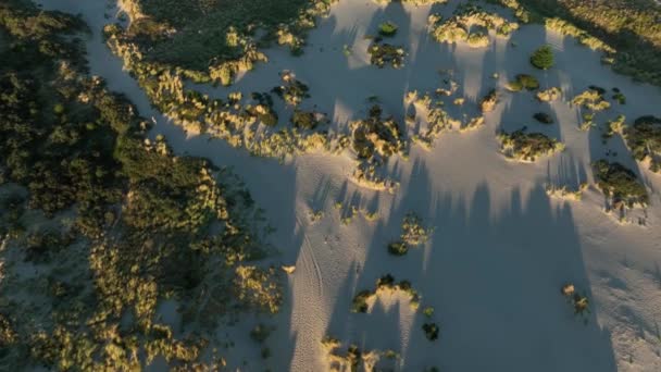 Drone Aéreo Cinematográfico Bonito Tiro Dunas Praia Hoek Van Holland — Vídeo de Stock