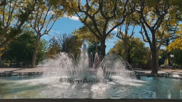 Montpellier Fransa Sabah Parkta Güzel Bir Çeşme — Stok video