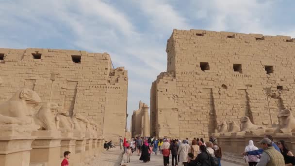 Turistas Caminhando Longo Das Linhas Esfinge Estátuas Complexo Templo Karnak — Vídeo de Stock