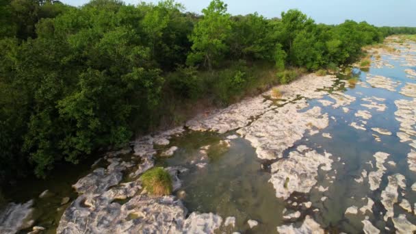Filmagem Aérea Veados Andando Longo Rio Pedernales Texas Pedras São — Vídeo de Stock