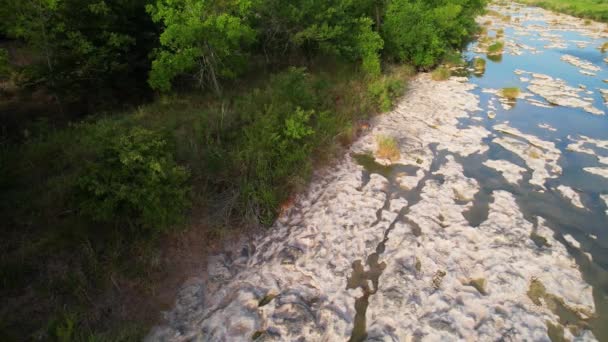 Înregistrări Aeriene Ale Căprioarelor Care Plimbă Lungul Râului Pedernales Din — Videoclip de stoc