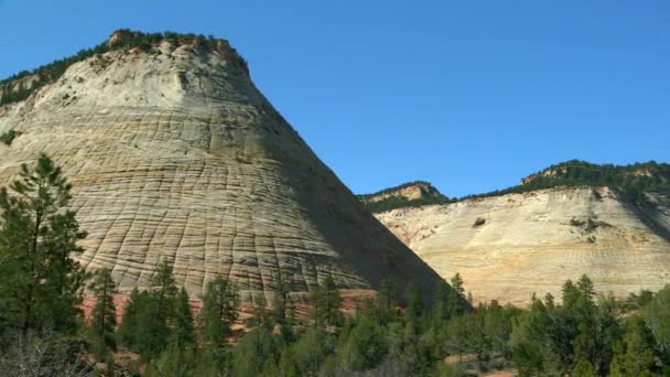 Estrato Geológico Preservado Paisaje Del Cañón Del Parque Nacional Zion — Vídeos de Stock