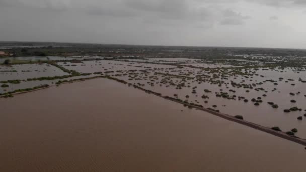 パキスタンのシンドでは深刻な川の洪水のために 完全に水中で浸水した農業分野で撮影された空中ドローン — ストック動画