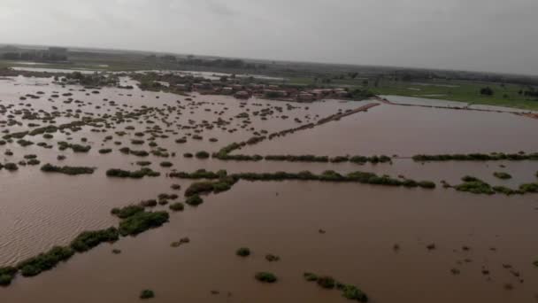 Avión Tripulado Aéreo Hacia Adelante Movimiento Graves Inundaciones Río Sindh — Vídeos de Stock