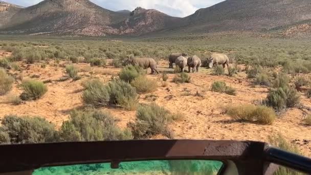 Μια Συντριβή Ρινόκερου Στη Φύση Σαφάρι — Αρχείο Βίντεο
