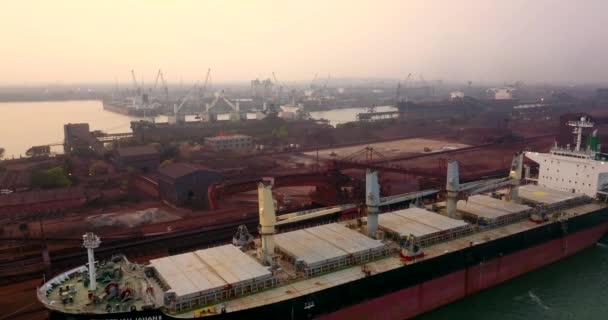 Bulk Carrier Docked Paradip Port Waiting Unload Cargo Odisha India — Stok Video