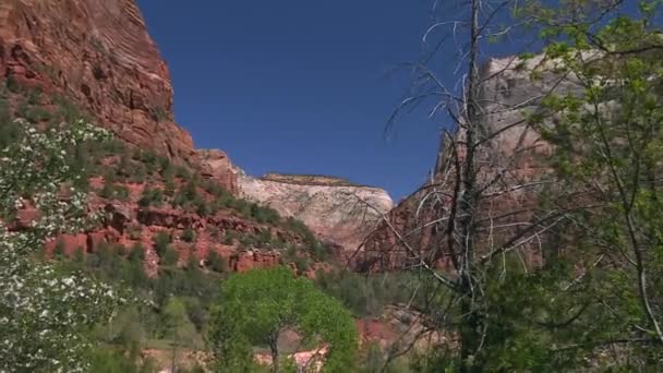 Zion National Park Canyon Steep Rock Formations Establisher Zoom — Stock Video