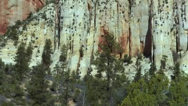 Steep Eroded Limestone White Cliff Zion National Park Canyon Utah — Stock Video