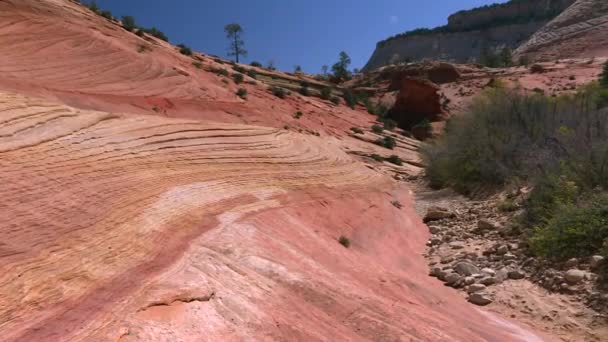 Ytah Eroded Slickrock Topography Pattern Zion National Park — стокове відео