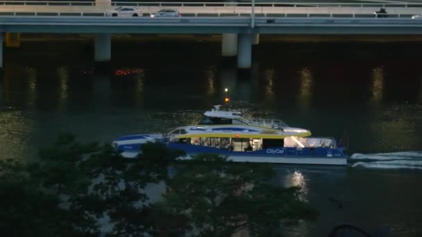 Brisbane Citycat Aan Rivier Nacht — Stockvideo