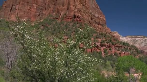 Massiva Röda Klippformationen Ökenlandskapet Vid Zions Nationalpark — Stockvideo