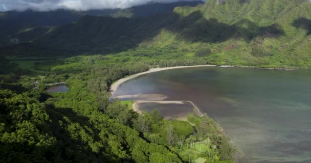 Baie Kahana Contrebas Promenade Lion Accroupi Oahu Hawaï Vue Aérienne — Video